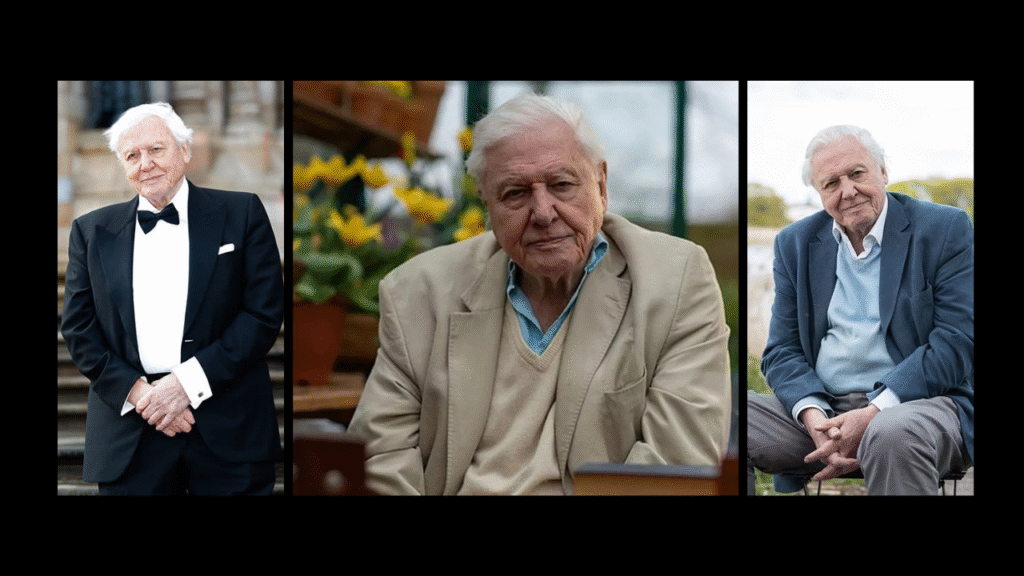 david attenborough net worth