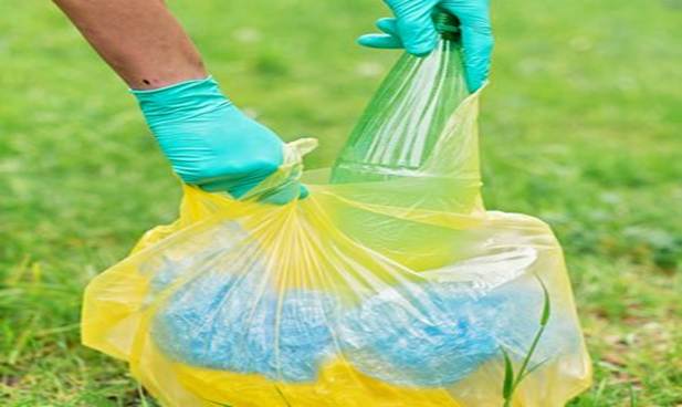 Waste Removal Near Me